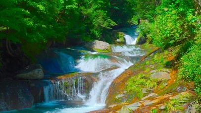 夏日绿林山涧