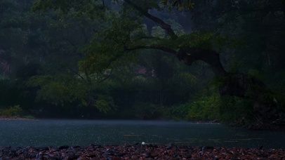 森林湖泊雨夜