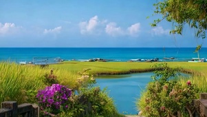 蓝天白云树木海景带鱼屏