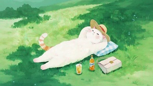 小猫晒太阳