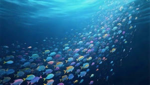 海洋鱼群