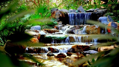 治愈林间小溪4K