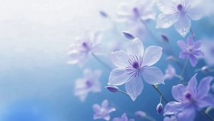 小清新冰兰花