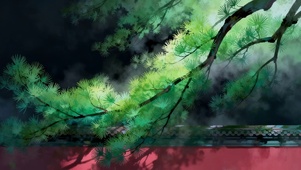 唯美绿色松树