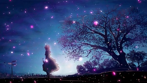 星空树下