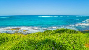 碧海蓝天绿草海浪