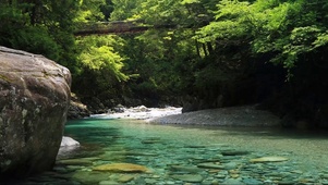 小溪流水
