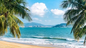 夏天海滩