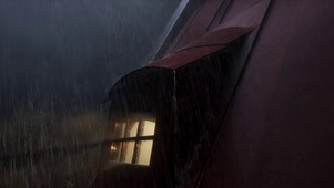 屋顶上的大雨