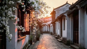 小巷里的鲜花