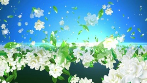 茉莉花粒子