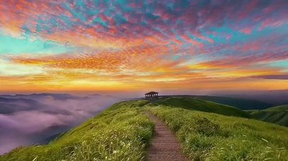 没有天花板的地方