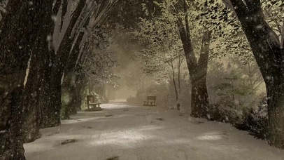 树林大雪