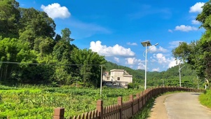 老家的小路~