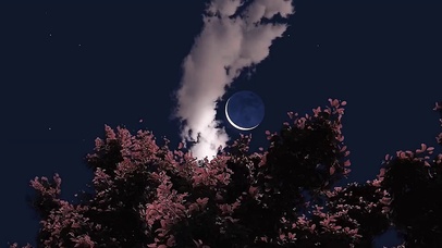 4K唯美风景