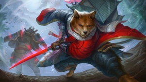 汪汪武士
