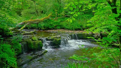 护眼小河流水4K