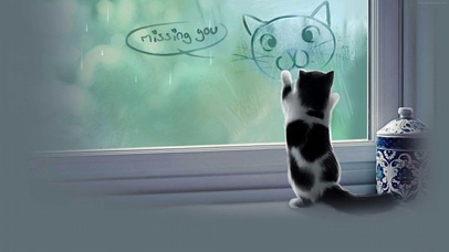 Miss-You-Cat