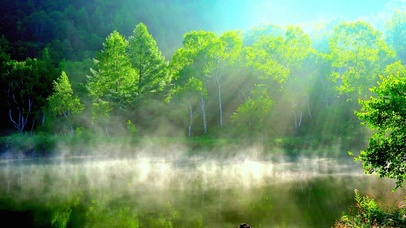 唯美晨曦江雾 4K