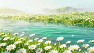 湖畔雏菊