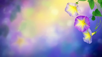 唯美梦幻紫色牵牛花