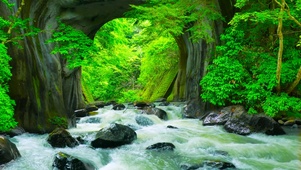 护眼山涧流水