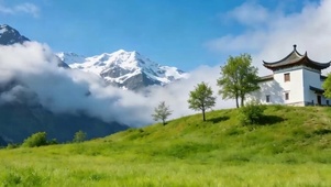 白云草地树木带鱼屏