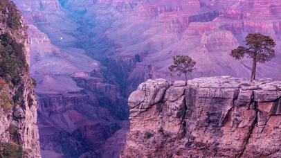 沟壑孤树，深邃磅礴