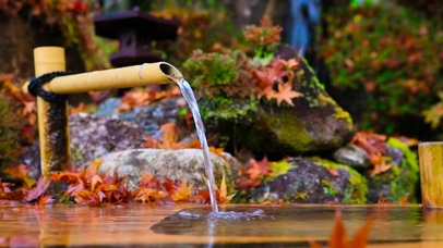 4K秋意竹筒泉水声