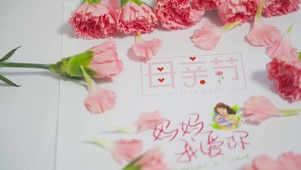 4K母亲节鲜花康乃馨节日