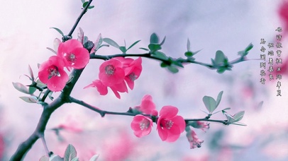 花海