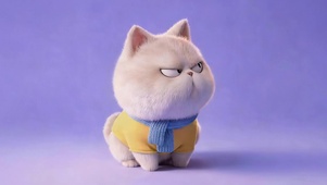 可爱傲娇的猫咪