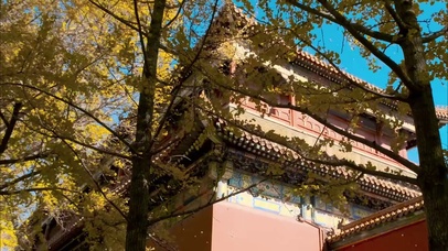 北平的秋天