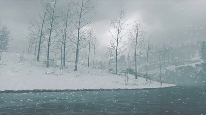 雪中树林
