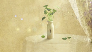 唯美简约壁纸花瓶插花