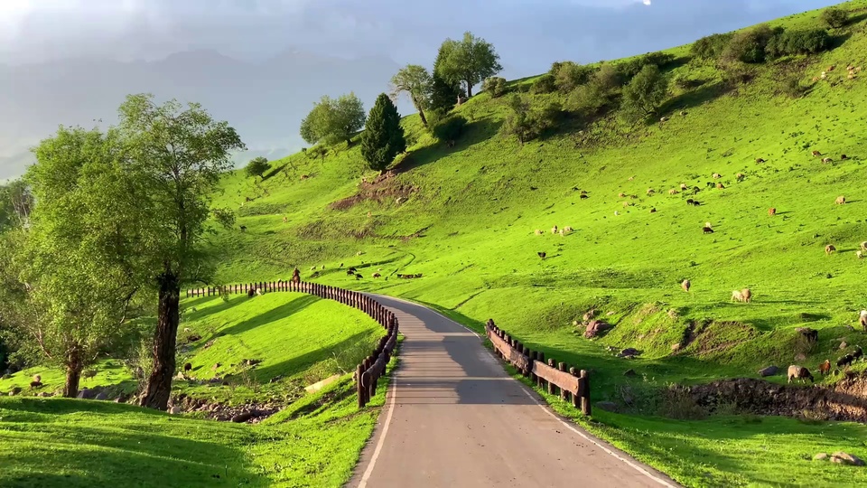 春日绿色缓坡草原间，沥青公路向前蜿蜒伸向远方的山谷