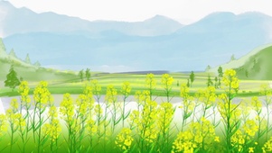唯美田间油菜花
