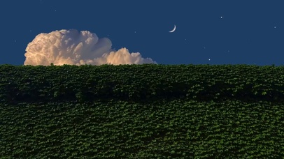 月亮代表我的思念