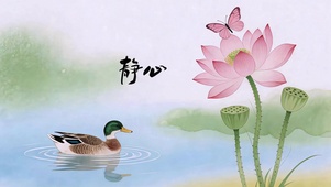 荷塘 静心