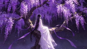 紫藤树下美女