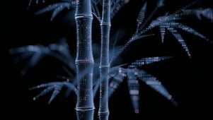 代码矩阵 数字竹