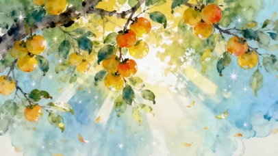 秋天柿子树熟了