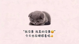 硬撑加油打工人