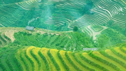 无尽梯田，乡村田野