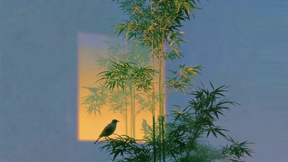 竹林光影