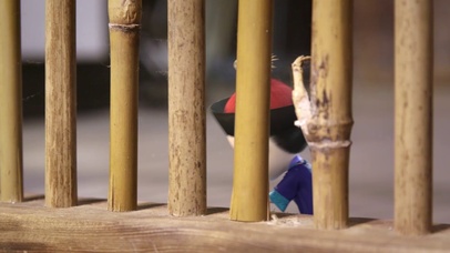 僵小鱼-加油振作