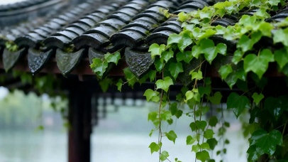 雨滴屋顶