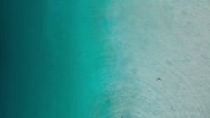 湛蓝大海