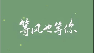 等风也等你
