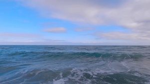 大海